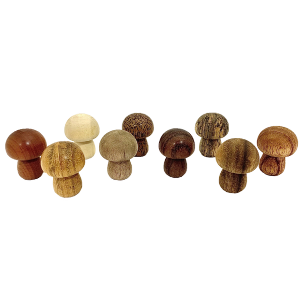 Papoose Toys Papoose Toys Mini WW Champignons 9pc