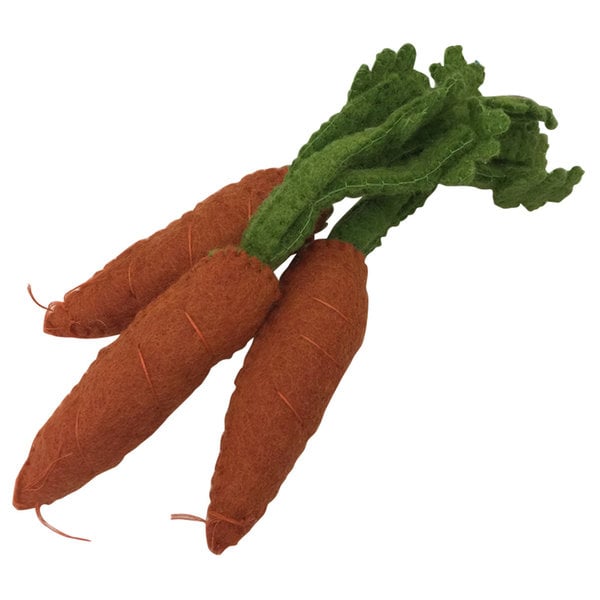 Papoose Toys Papoose Toys Végétal Néerlandais Carottes 3