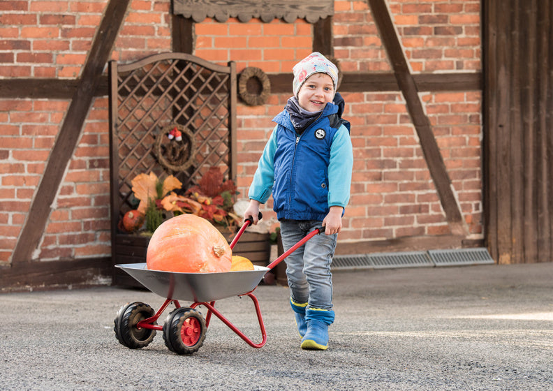 Rolly Toys Steel Bailbarrow Junior Silver Red