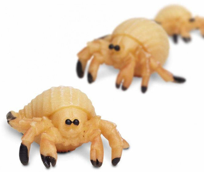 Safari Heremietkreeften Play Set 2,5 cm 192 pièces