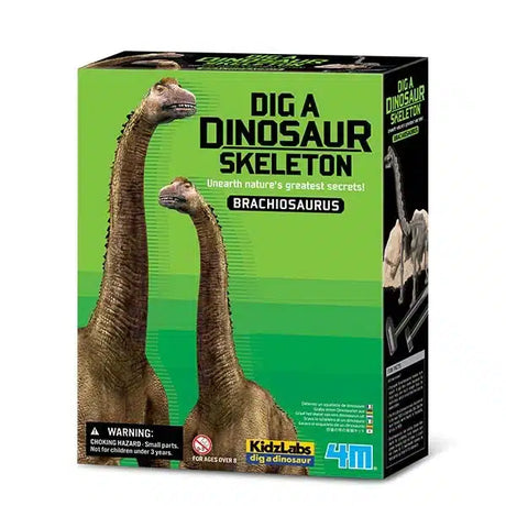 4m - kidzlabs - creuser - brachiosaure