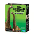 4m - kidzlabs - déterre ton brachiosaure