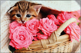 Kangaro k-0014d118 sous-main pp 38x58cm chaton