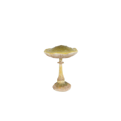 Sculptuur paddenstoel groen polystone 8x8x10,5cm