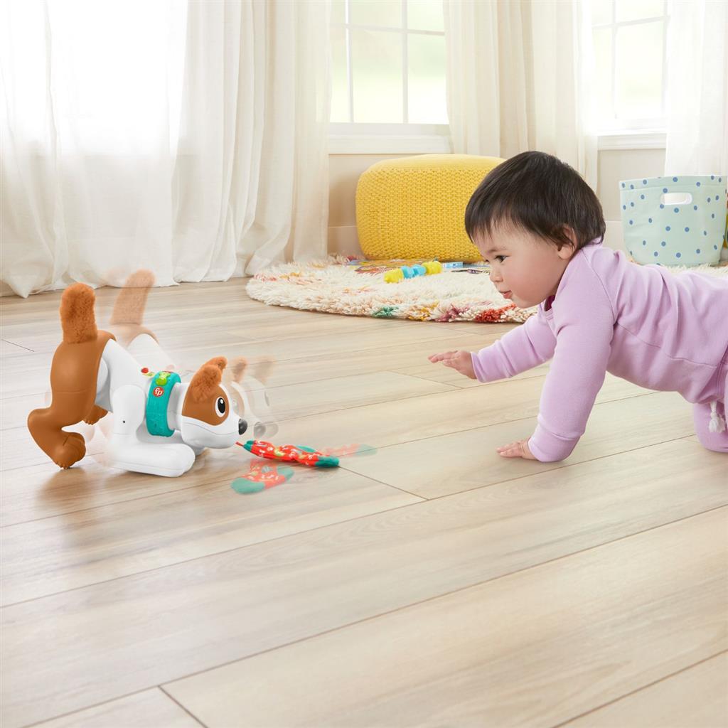 Fisher Price rampe avec moi chiot + lumière et son