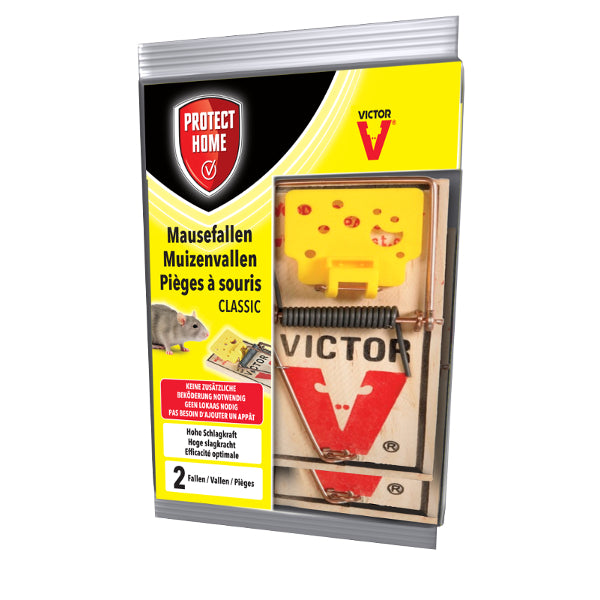 Protéger la maison piège souris bois 2pcs | 4 pièces