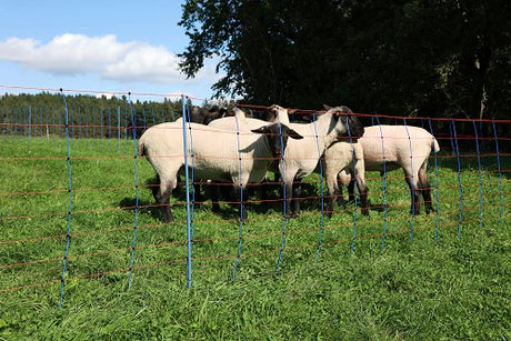 Ako mouton nettitan premium 90cmx50m double enclos bleu-orange