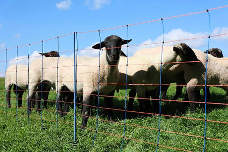 Ako mouton nettitan premium 108cmx50m double enclos orange vif