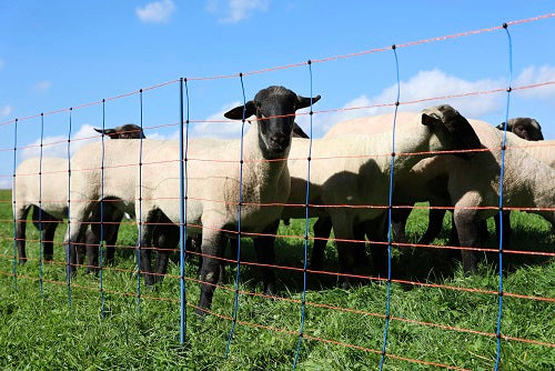 Ako products mouton nettitan premium 108cmx50m double enclos bl orange
