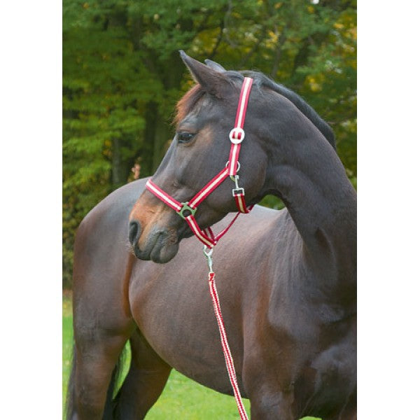 Abi products licou hippopotame bordeaux beige 1 poney