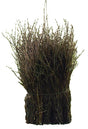 Eurotools balai marron 75cm