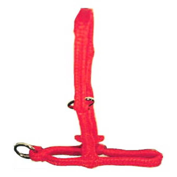 Produits polyhalter vache orange