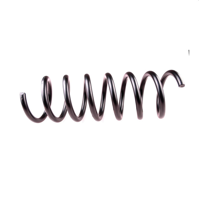 Spring V Kerbl Ensemble de brosses pour dos de vache