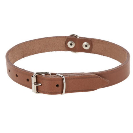 Producten hondenhalsband leer 18mm taupe