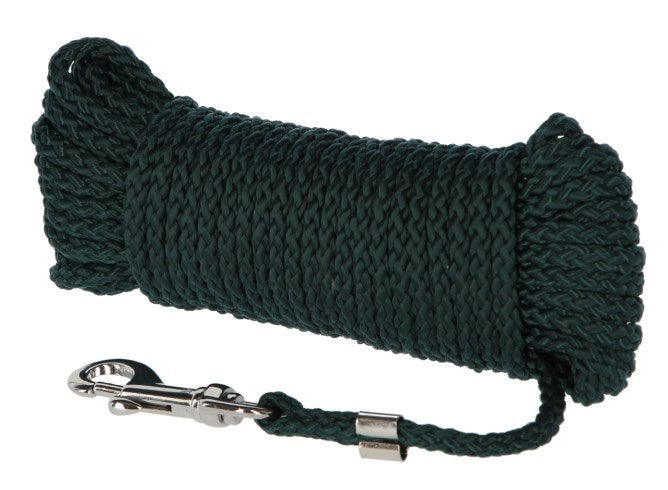 Ligne de dressage Abi laisse pour chien ligne de recherche 10 m