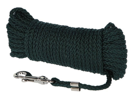 Ligne de dressage Abi laisse pour chien ligne de recherche 10 m