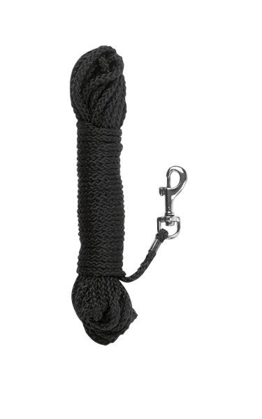 Ligne de dressage Abi laisse pour chien ligne de recherche 20 m