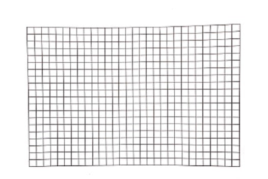 Giardino producten bologna draadpaneel 5x5cm x 150cm x 80cm ral 7016 antraciet