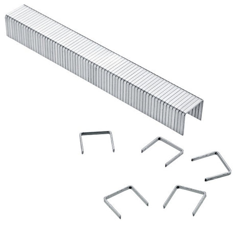 Agrafes Connex b com500114 200 8mm 1000pcs - com501208