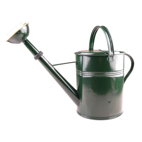 Produits arrosoir pulvérisateur en laiton laqué vert 9l