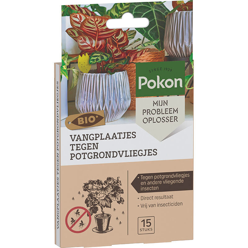 Pokon bio pièges collants contre les mouches du terreau 15 pcs