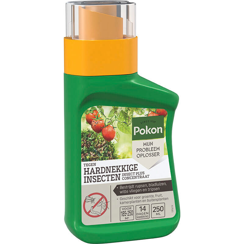 Kb control products pokon contre insectes concentré persistant 250ml insectes p