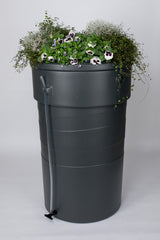 Pot de jardin avec baril de pluie 230l