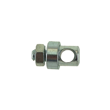 Boulon d'œil d'œil d'aile Bofix M5X12 (12 pièces)