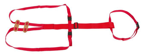 Bandage pour prolapsus du corps du soumissionnaire pour moutons