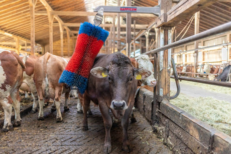 Produits brosse à bovins happycow freemaxi
