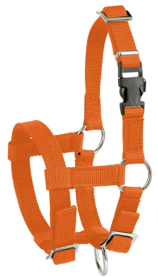 Produits licol alpaga orange