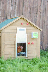 Kit porte poulet automatique 30x40cm