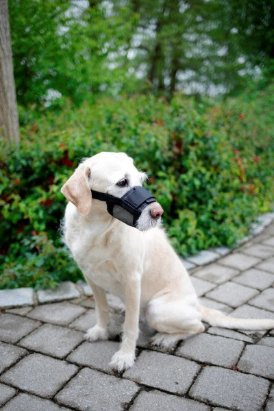 Produits muselière en nylon pour chien taille L noir
