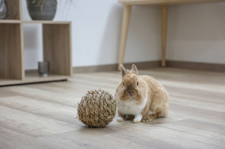 Boule d'herbe Kerbl %c3%b8 13 cm