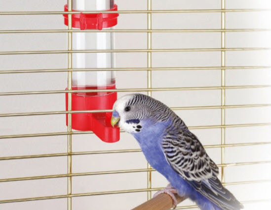 Kerbl products abreuvoir à oiseaux 16 cm 130 ml