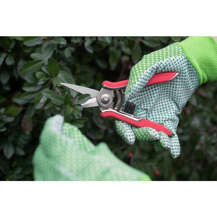 Mini boîte de ciseaux tondeuse Connex - flor70368