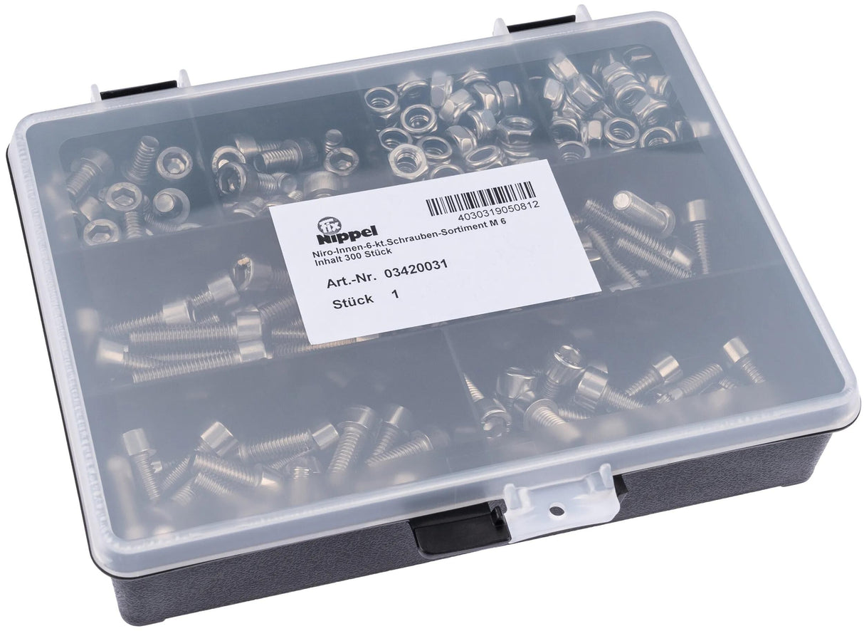 Assortiment de boulons à six pans creux pour raccord de fixation, gamme de vis Allen en acier inoxydable 6 mm