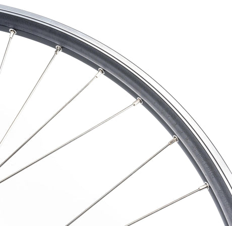 Roue arrière Contec classique z19 + shimano sg-c30017car . roue arrière 28 2,34 2,00 inox abouté