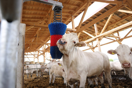 Produits brosse à bovins happycow flexiswing
