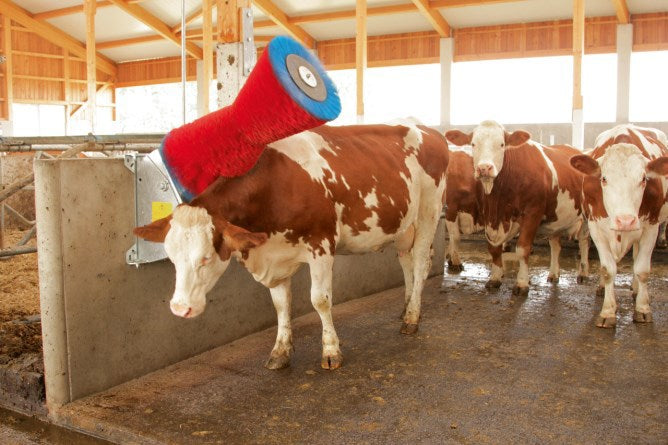 Brosse à vache Happycow uno horizontale