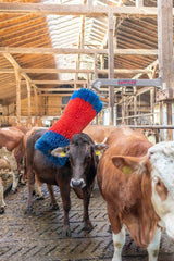 Produits brosse à bovins happycow freemaxi
