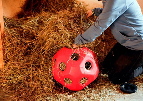Produits nourriture balle de jeu rouge
