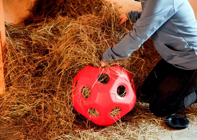 Produits nourriture balle de jeu rouge