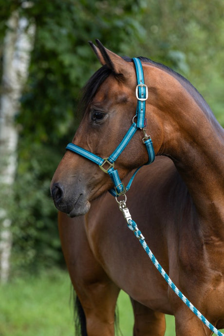 Abi products corde de plomb crochet de chariot mustang 200cm turquoise