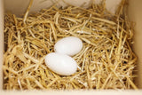 Nids d'œufs Kerbl en argile de poules