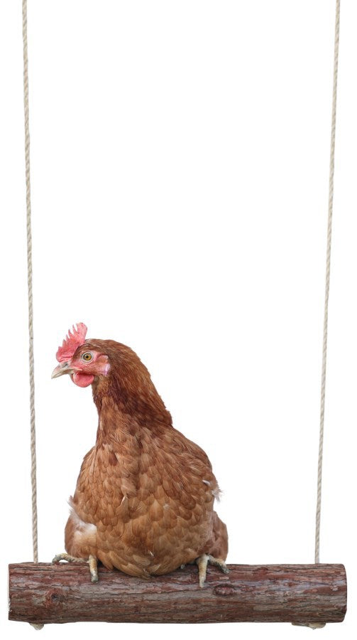 Balançoire poulet Kerbl 39 x %c3%b8 5cm