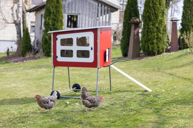 Poulailler en bois Abi mobilecoop