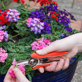 Mini boîte de ciseaux tondeuse Connex - flor70368