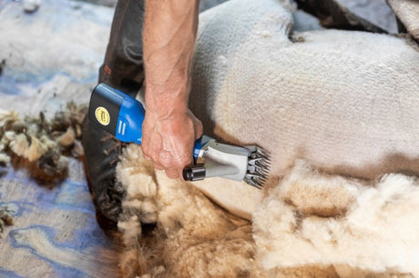 Aesculap econom products tondeuse à moutons econom nova sans fil plus1 batterie