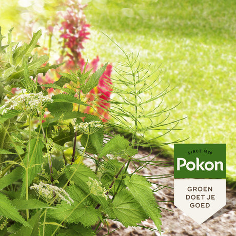 Produits Pokon contre les mauvaises herbes tenaces concentré 100ml weedex